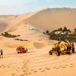 Tour a Paracas y Huacachina desde Lima 1 Día, Tour a Paracas y Huacachina
