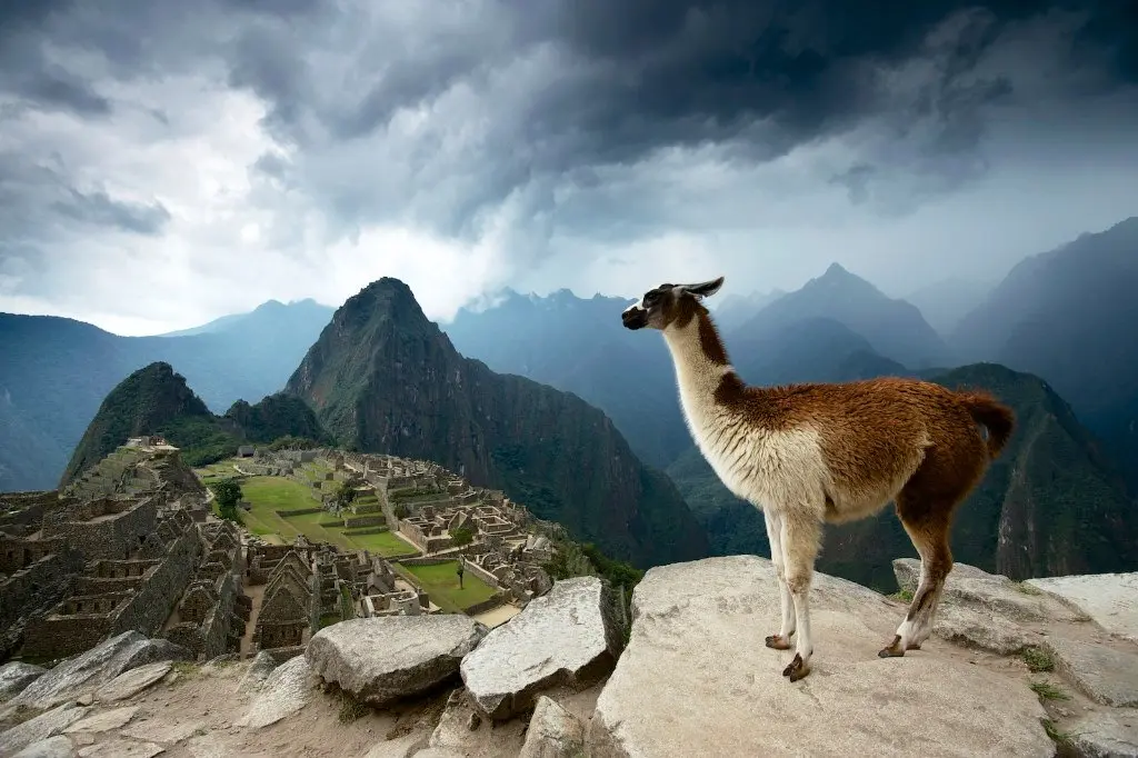 Machu Picchu